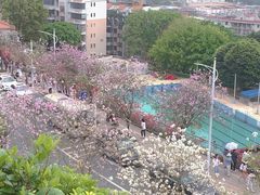 -小南山公园
