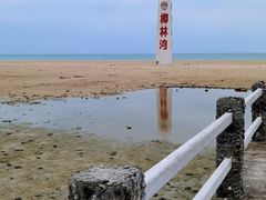 -东郊椰林