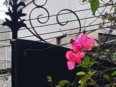 -馨园villa融合菜(东山店)