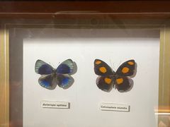 -上海昆虫博物馆