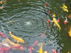 -成飞公园