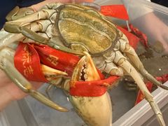 -鹿园 MOOSE(长宁店)