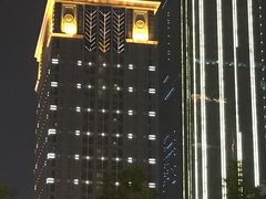 -成都明宇丽雅饭店
