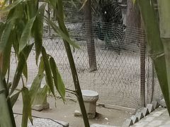 -罔极寺