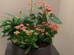 -洛阳宴·洛阳菜(南昌路店)