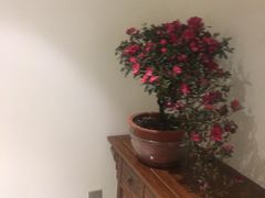 -崇英经络足疗(曲江店)