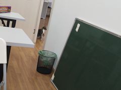 -西班牙语王国