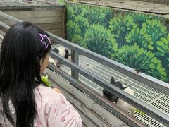 -北京鹿世界主题园