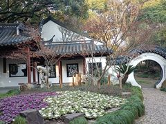 -汇龙潭