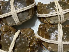 -阳澄湖大闸蟹·琼灵阁牌品牌连锁(吴中总店)