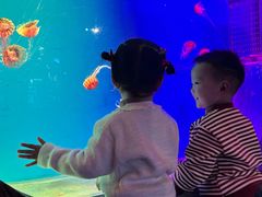 -华夏文旅海洋公园