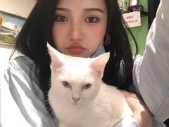 -猫色咖啡·猫咖