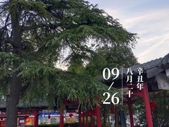 -镇淮楼