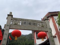 -十八棵（老龙井）御茶园(老龙井店)