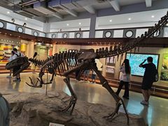 -自贡恐龙博物馆