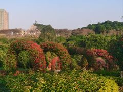 -东莞植物园