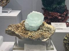 -湖南省地质博物馆