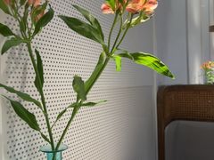 -潮堂 · 潮州菜(人广来福士店)