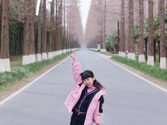 -黄海国家森林公园