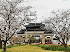-苏州上方山国家森林公园