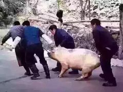 -乐凯撒披萨(喜荟城店)