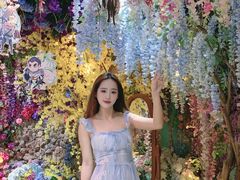 -正佳雨林生态植物园