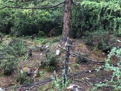 -稻城亚丁风景区-电瓶观光车售票处