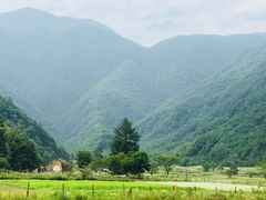 -大九湖