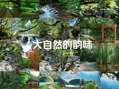 -广州市石门国家森林公园