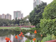 -荔湾湖公园