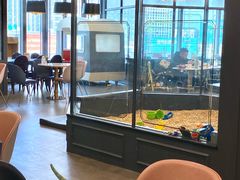 -FAIRYLAND龙族星球主题餐厅(凯丹广场店)