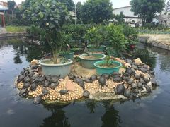 -八景休閒山莊  廣東十大名山莊