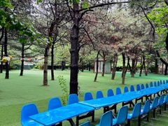 -尚庄度假村·庭台树下·户外烧烤·团建CS·轰趴营地(上庄水库店)