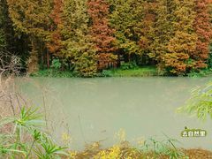 -桤木河湿地公园