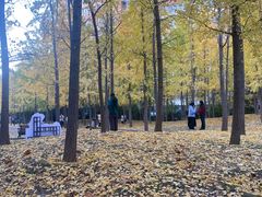-河南财经政法大学(郑东校区)