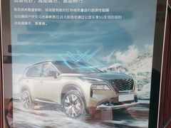 -天猫养车贴膜轻改·蓝电(优匹康桥东路店)