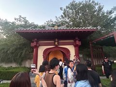 -洛阳古墓博物馆