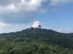 -大围山国家森林公园