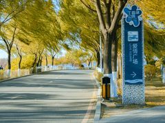 -丁香湖公园