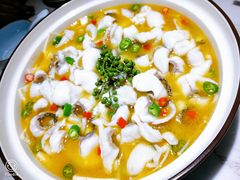 青花椒味砂锅鱼-青花椒花椒鱼(合生汇店)