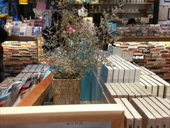 -猫的天空之城概念书店(杭州南宋御街店)