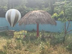 -无锡动物园·太湖欢乐园