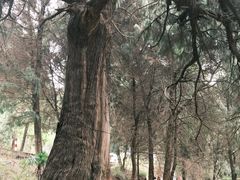 -七曲山风景区