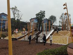 -铁山坪森林公园