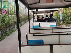-第五季龙水凤港生态露营农场