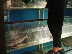 -老板恋上鱼(印象城店)