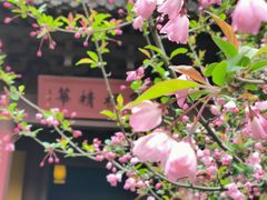 -慧因高丽寺