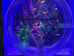 -梦幻海洋王国(吾悦广场张家港店)
