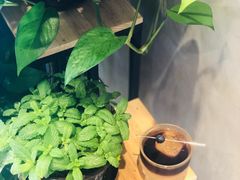 椰子冰滴-ZING COFFEE 镜咖啡