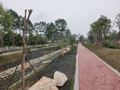 -白鹭湾湿地公园